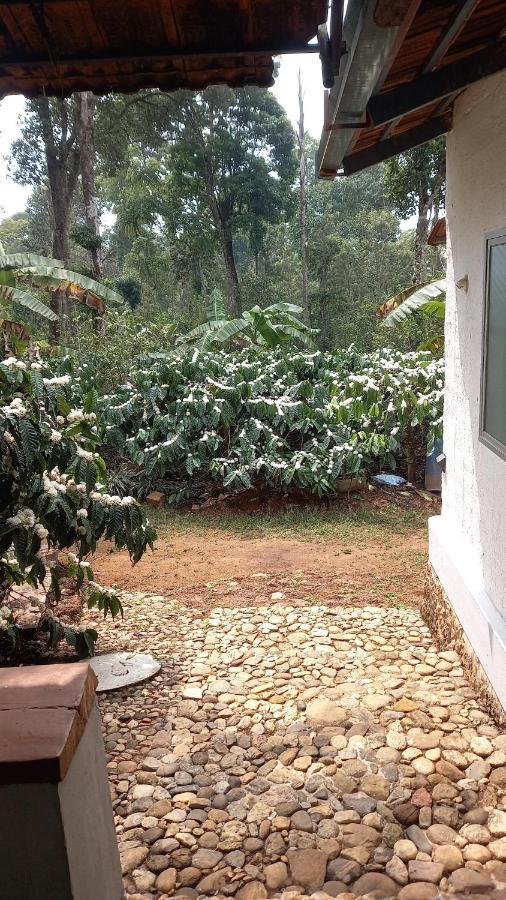 Durf Green Madikeri Exteriör bild